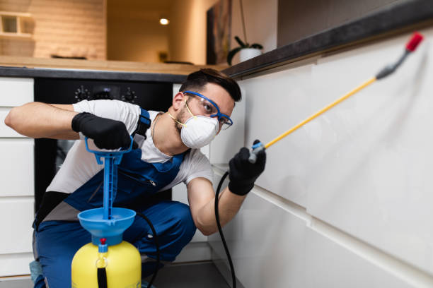 Best Pest Control Near Me  in Fairfield, OH