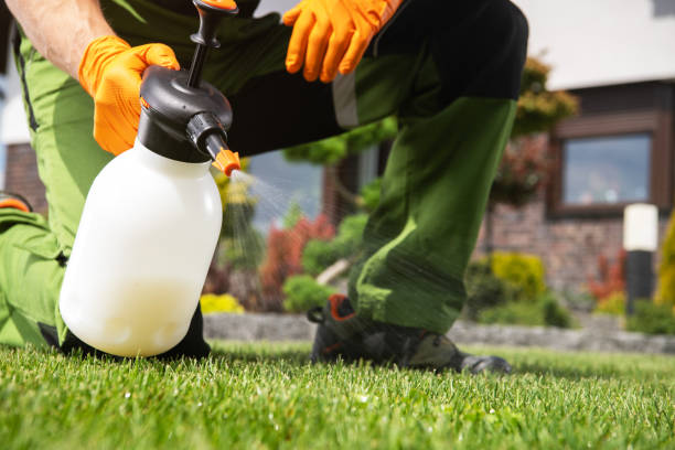 Best Flea Control Services  in Fairfield, OH