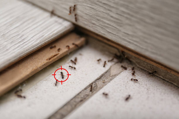 Best Commercial Pest Control Services  in Fairfield, OH