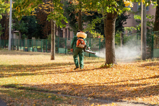 Best Termite Control Services  in Fairfield, OH