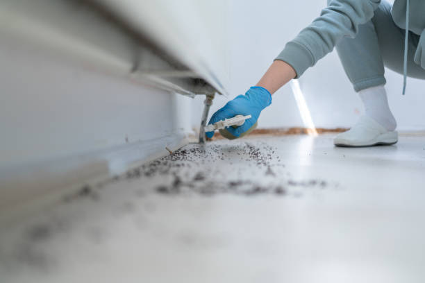 Pest Prevention Services in Fairfield, OH